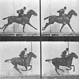 Eadweard Muybridge